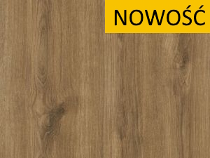 Dąb Carpenter Whisky PD3101 RW